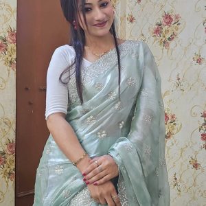 Zimmychoo Saree With Beautiful  Pasmina Silk With Jarken Stone Work